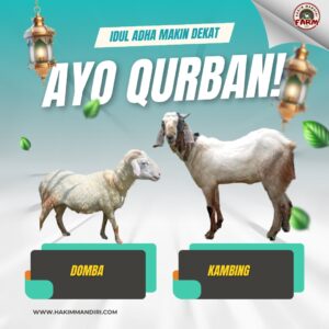 hewan kurban siap antar Jabodetabek